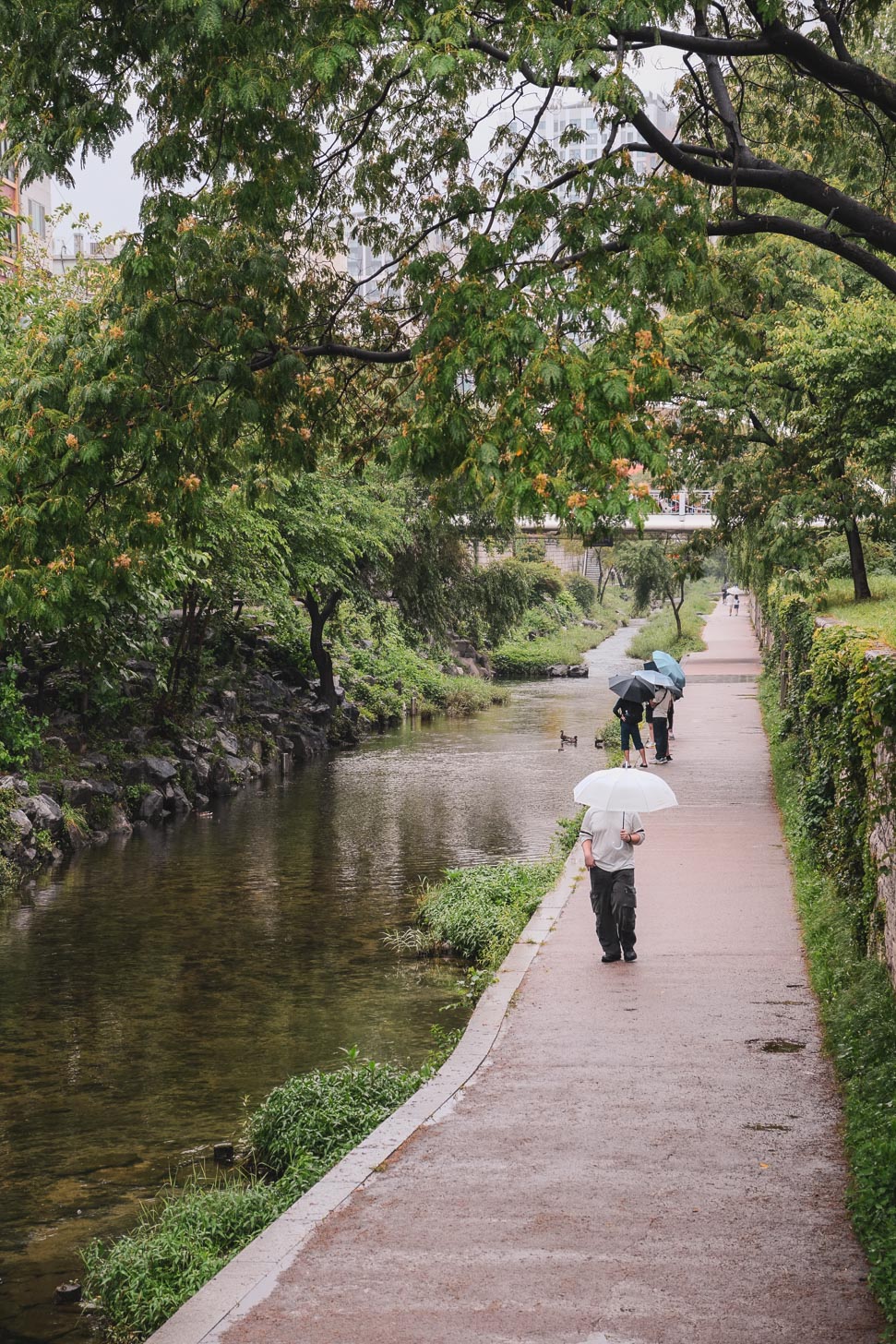 Cheonggyecheon stream