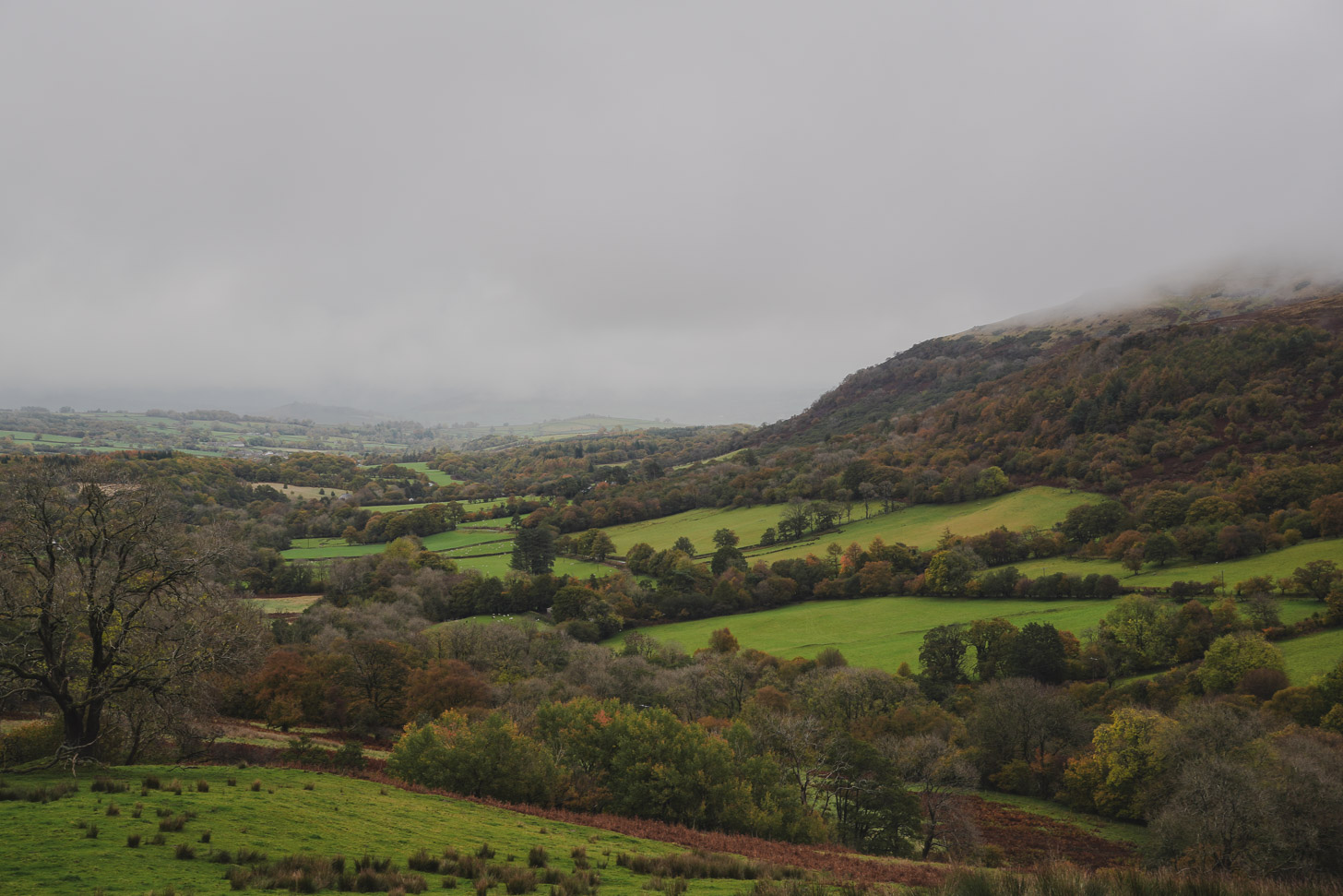 Wales green landscape