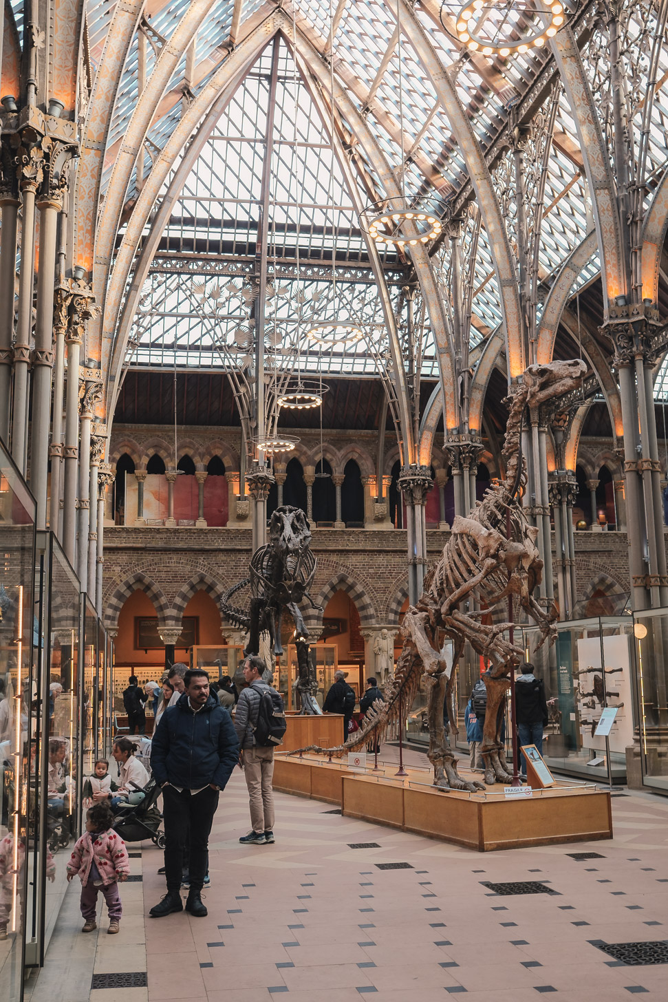 Oxford University Museum