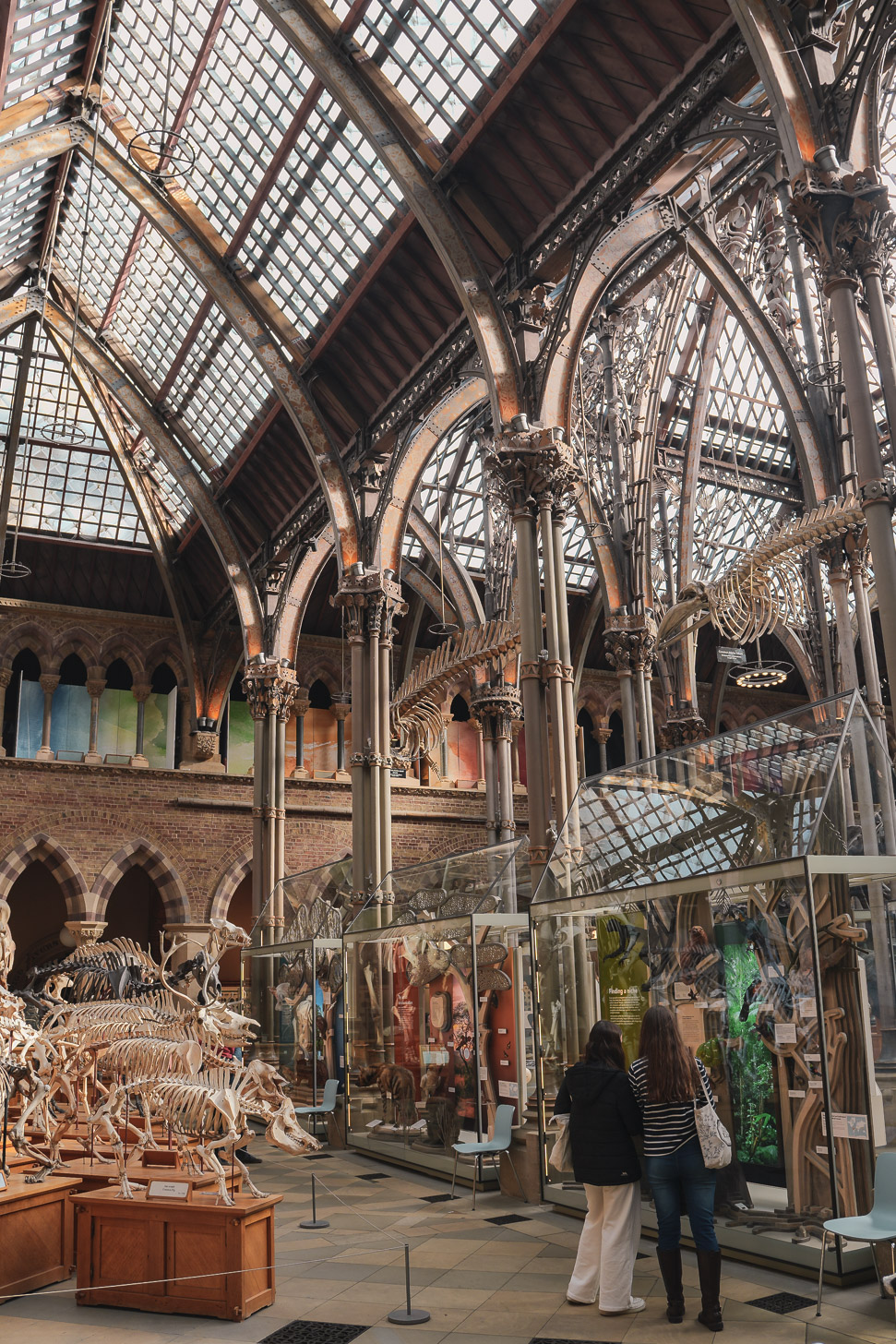 Oxford University Museum